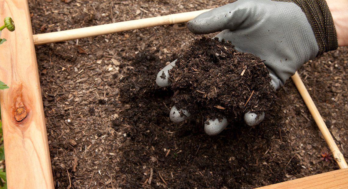 compost