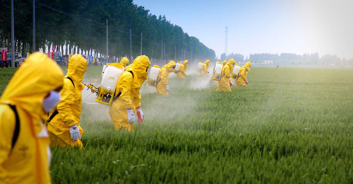 1568210361_archive_alemania_prohibira_glifosato_rz1250