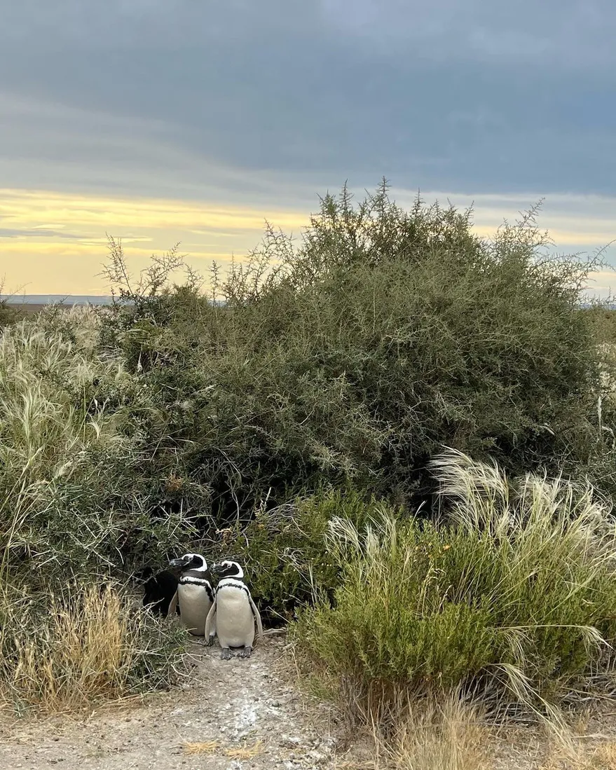 EQWQF4J6SNFUTL76E6YE7ADUK4