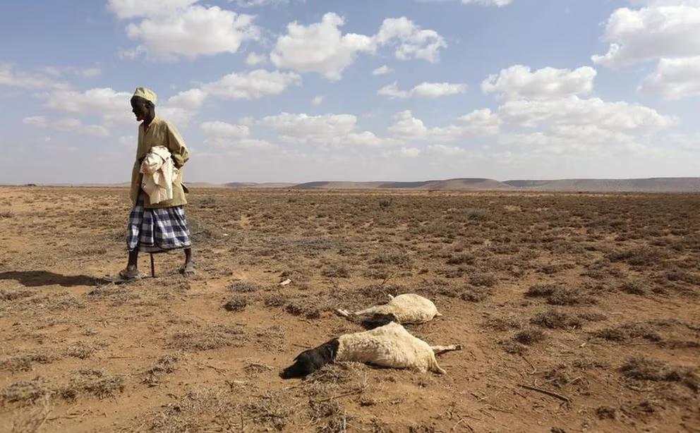 ZLVGGPRPZHZ55ZZ3J6IPATRM4I