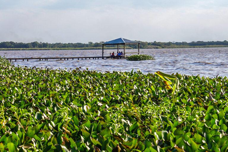 gran-chaco-argentina-17-PN-Río-Pilcomayo-Foto-Parques-Nacionales-01-768x512