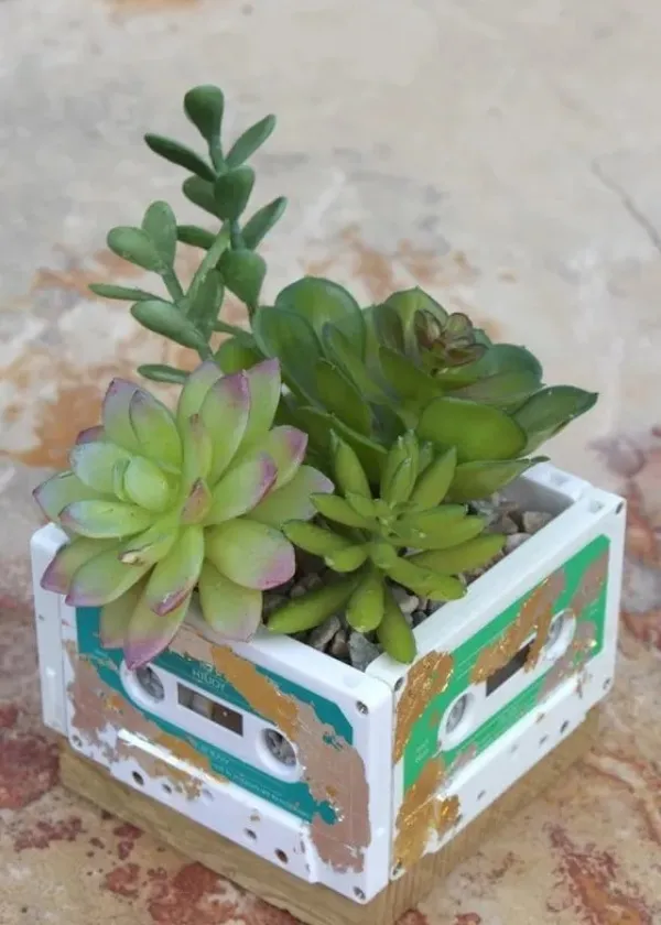 transforma_tus_casetes_en_encantadoras_macetas_para_suculentas_.jpeg_861770137
