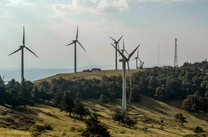 6318d174af3f3_700_462!