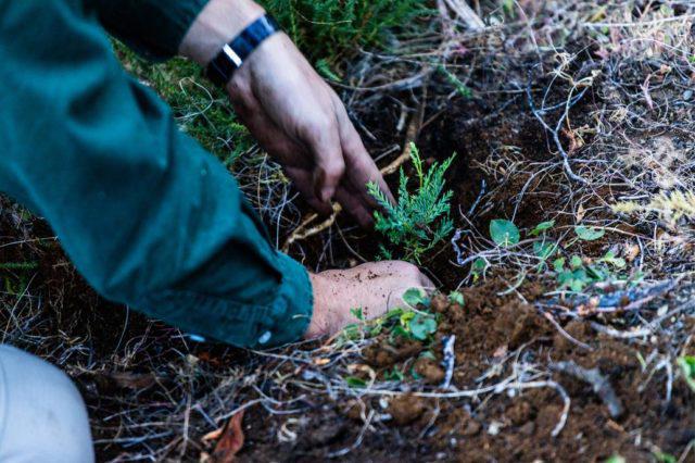 Cholila19-e1557670429870