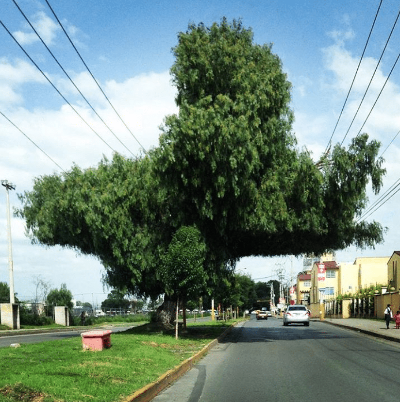 Captura-de-Pantalla-2020-06-26-a-las-13.48.57