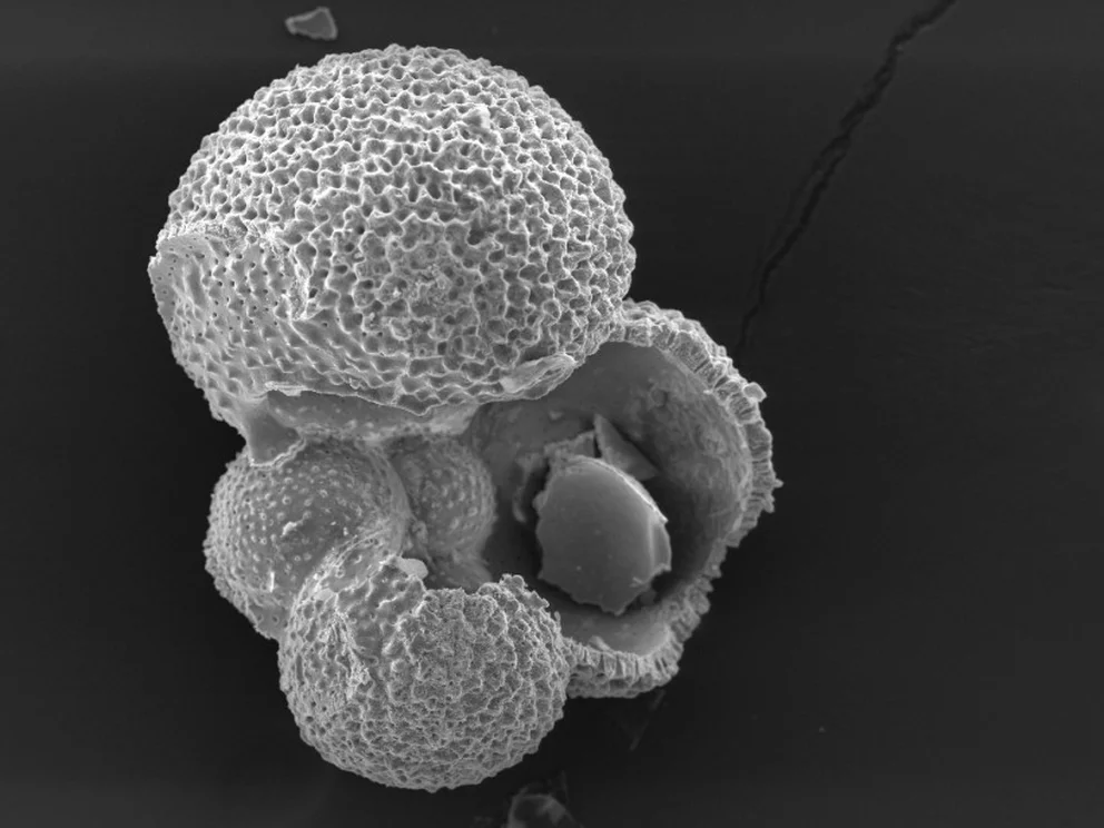 BRY35VQDYVEC5IKMJXEA5NQ57I