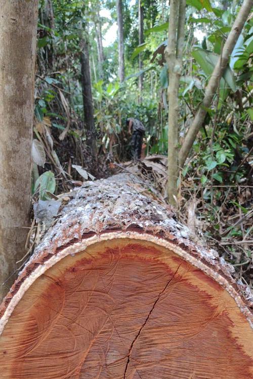 77d68a3e-ed68-48a0-b229-880645e5f0f9_source-aspect-ratio_default_0