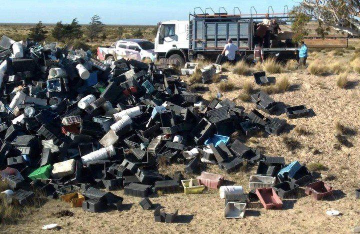 solo-el-8-de-las___hjUCaPf4p_720x0__1