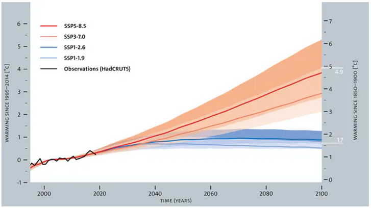 11c77a_0e030462579d422c8aa5550f1b84fcd5_mv2
