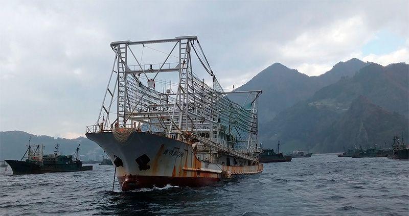 pesquero-chino-363760-210113