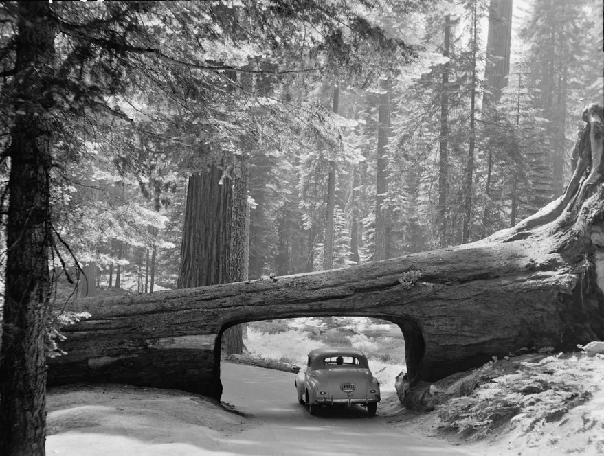 TY2ZFG6ETVHLTGCX2ZW7ZM4VU4