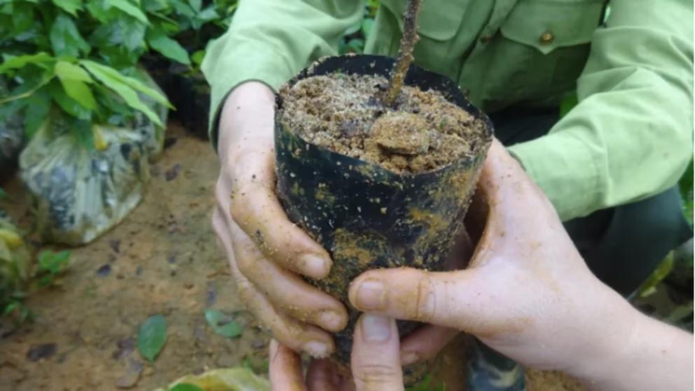 Y3MNQ43RYRFHNA5JVHHGGNPT5A