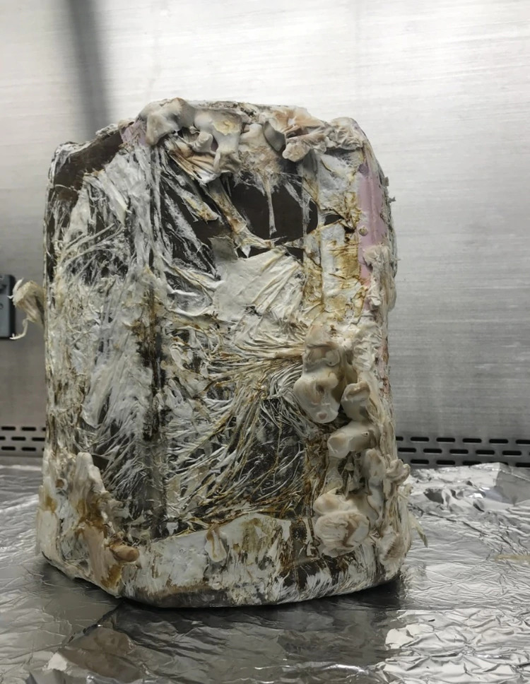 YDG27IKSVJCAFPBN2BTYZOOYPU