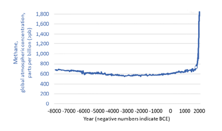 11c77a_774b739566ae45d1917b57e8833201f6_mv2