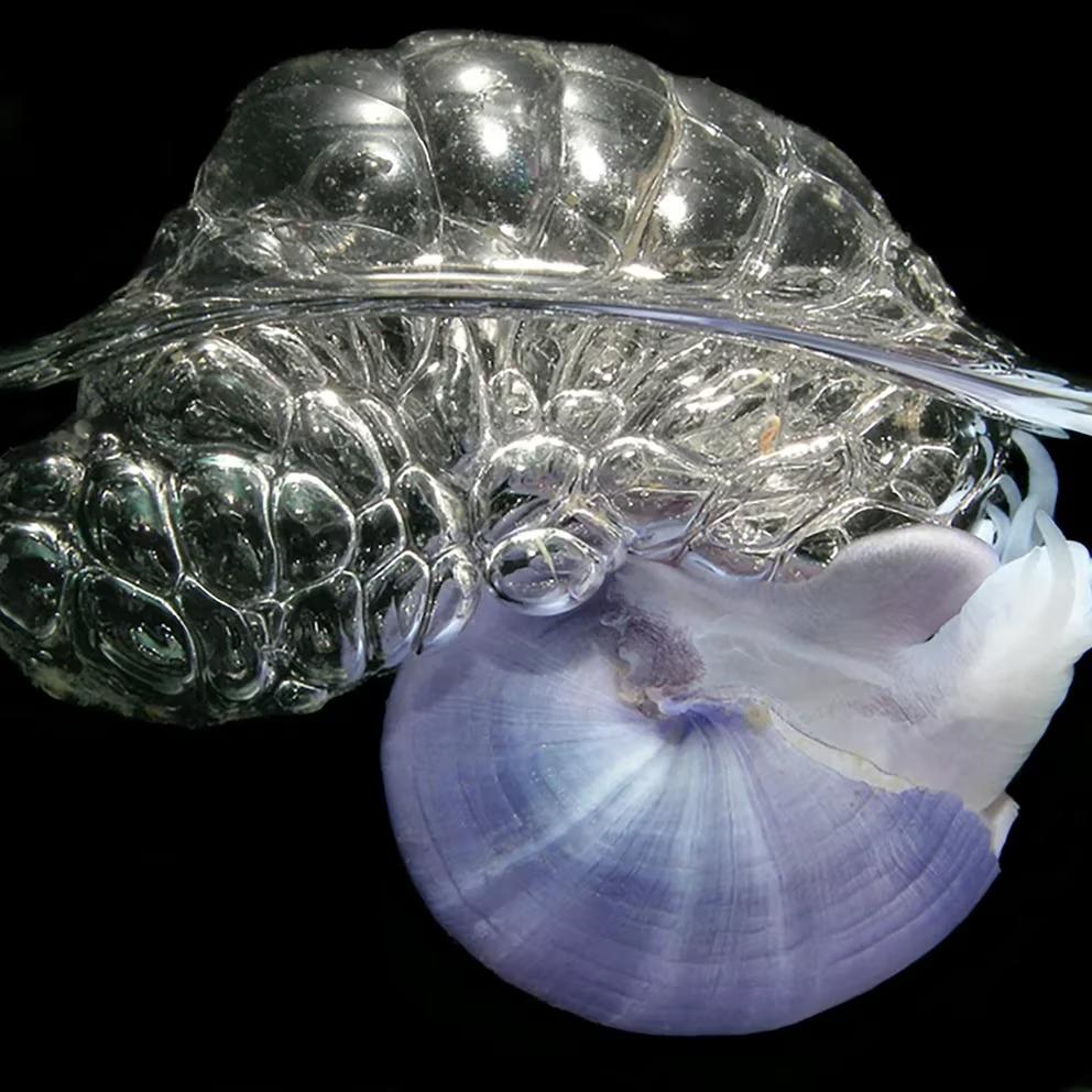 UDMP4HIU7JH6TBQUV2FCMG4HBM