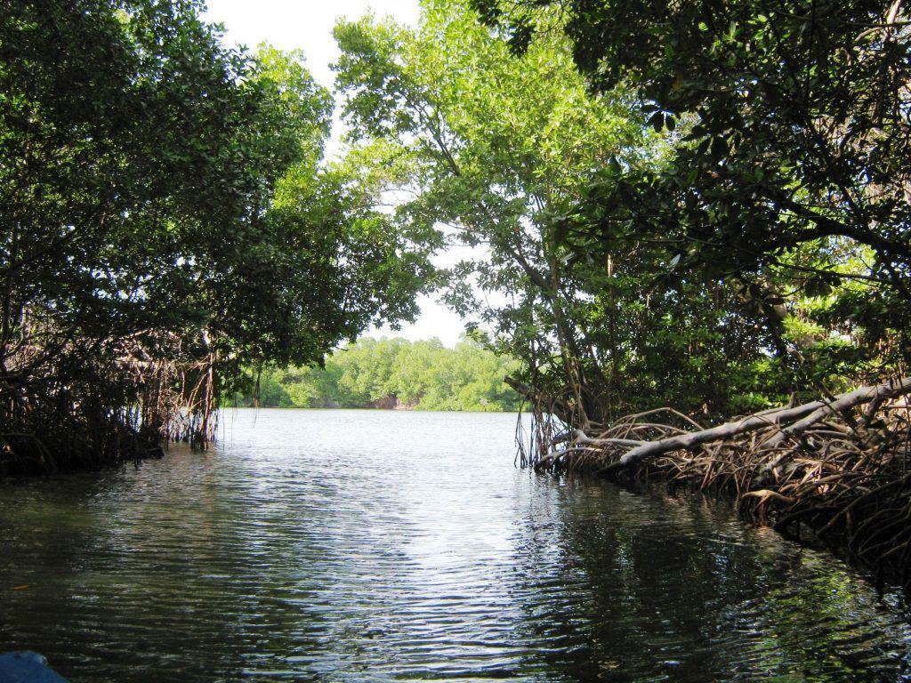 haiman-el-troudi-vivir-sin-humedales-es-vivir-sin-agua-5-1024x768