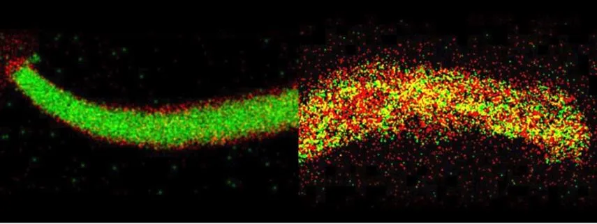 zonas-muertas-silicio-2494807