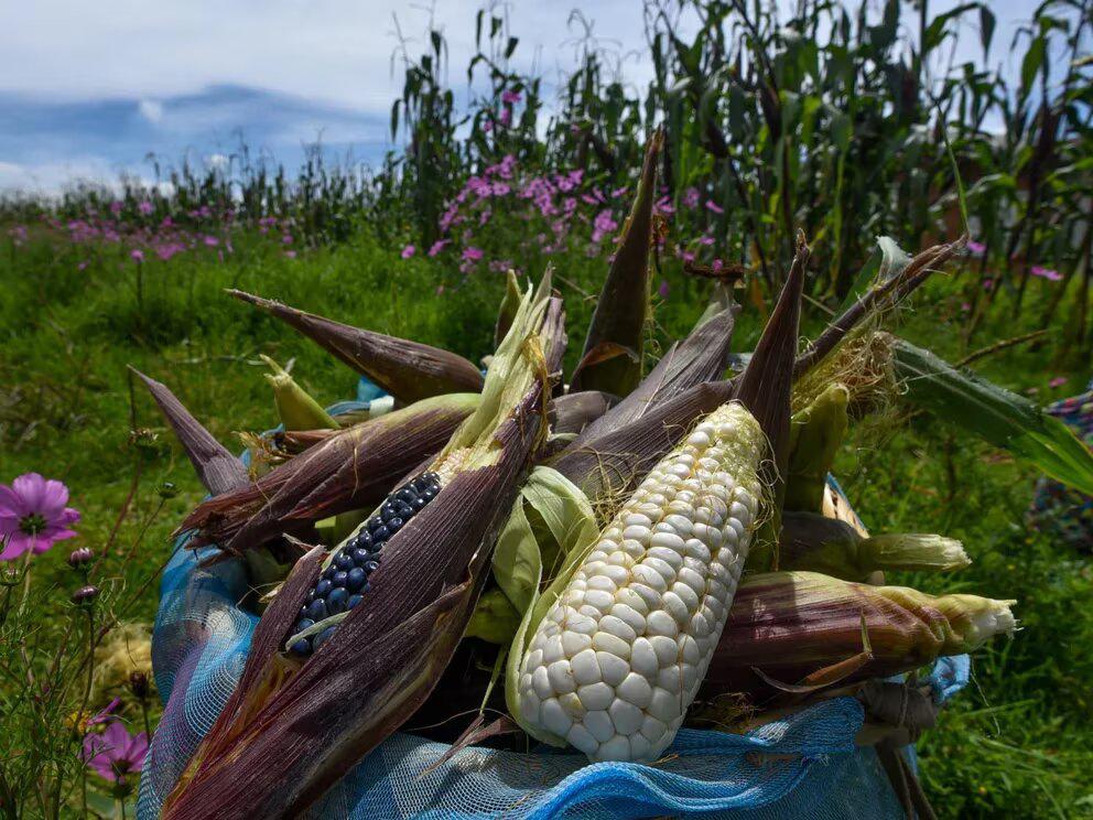 J5IRPDJPKRESLFIJ5ATWNNWDQ4