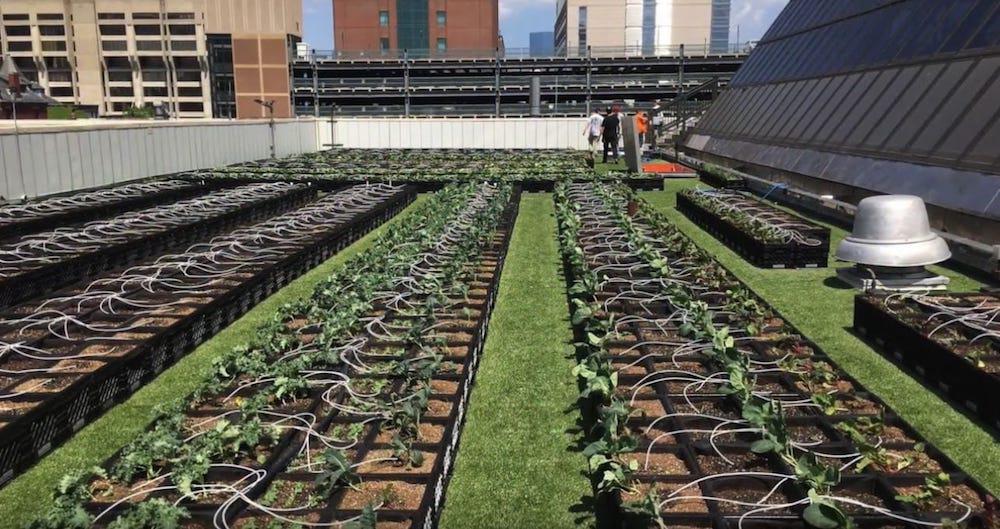 Boston-Medical-Center1