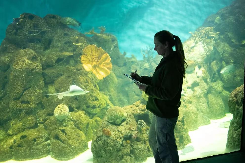 TO5TZQCJ7RF5BMU2WHJ5MMY2T4