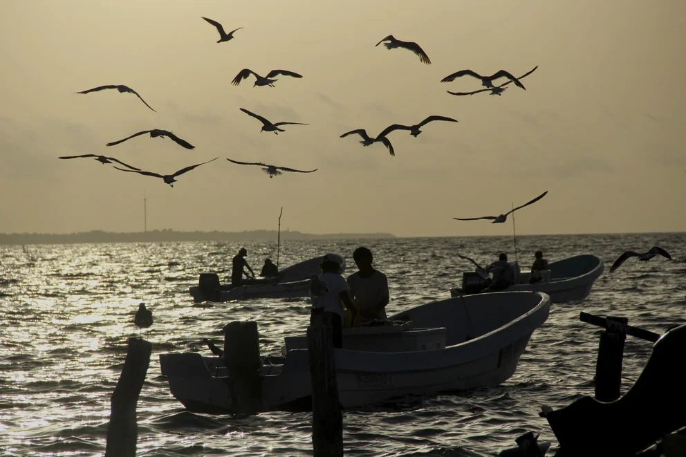 OKLS3PPCSZHM7MZYFVQCKAAA2A