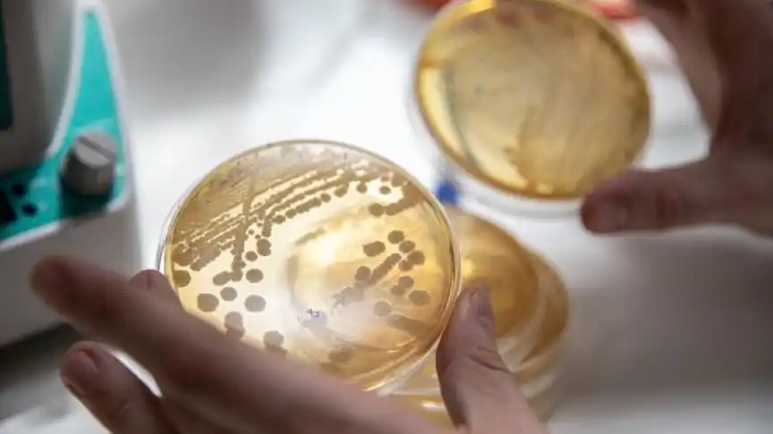 758934121_232664942_864x486