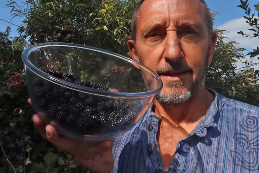 dave-QOSPVXXN3BAAPOP262F2UTE67M