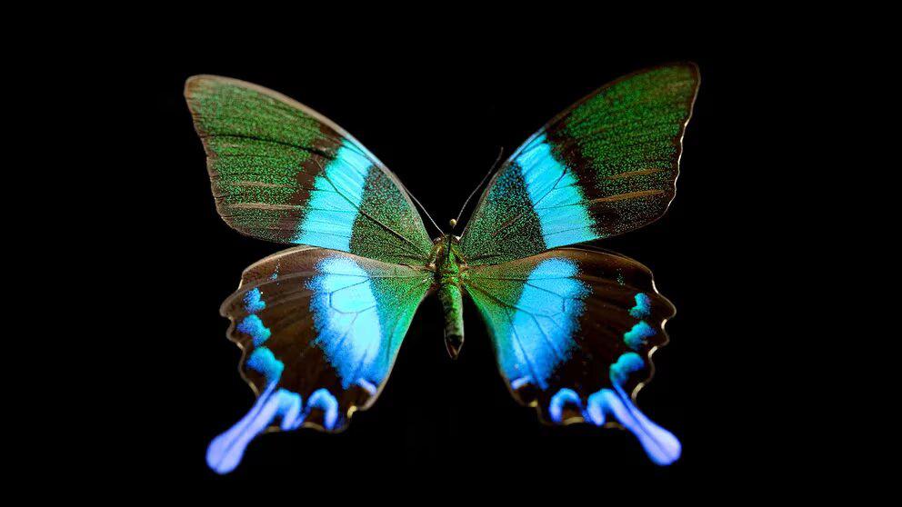 MMICXA34NZDO7AOPE532YTGN64