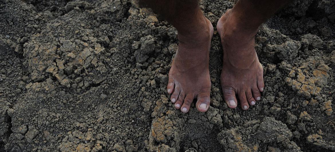 image1170x530cropped (2)