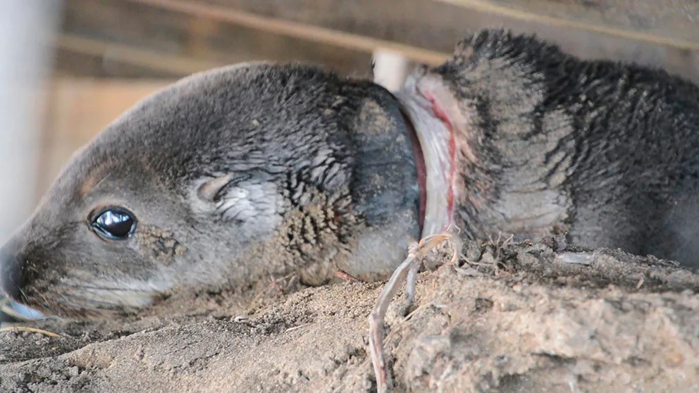 6E6LRHPDYVENRHH6K7XIRUSQBA