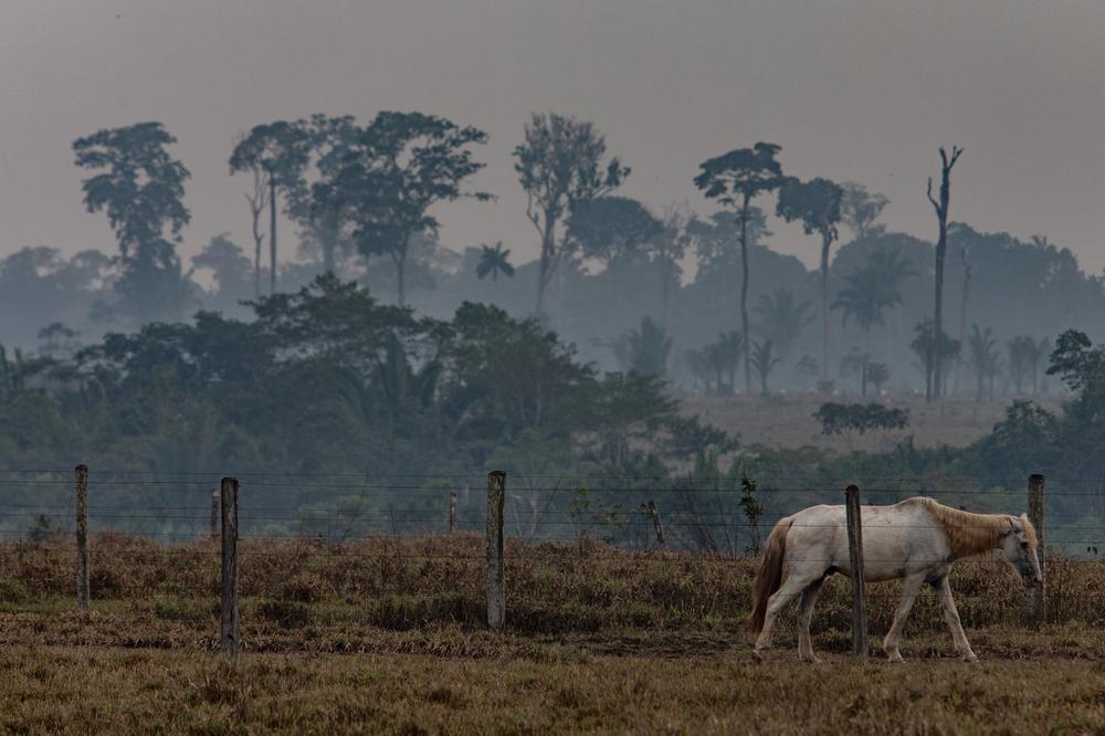 merlin_159755703_4c5cd66d-38f3-4192-82aa-bc951afcbbab-superJumbo