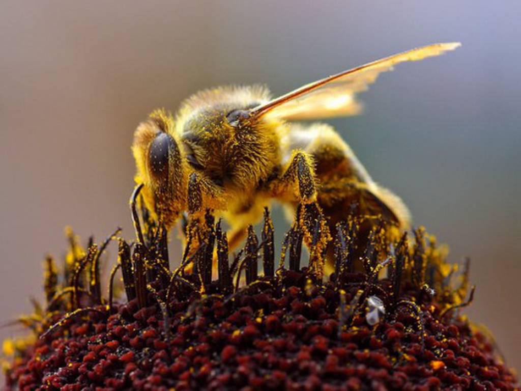 44CQ6KN7BJFWHEKT6ONKN3QWJU