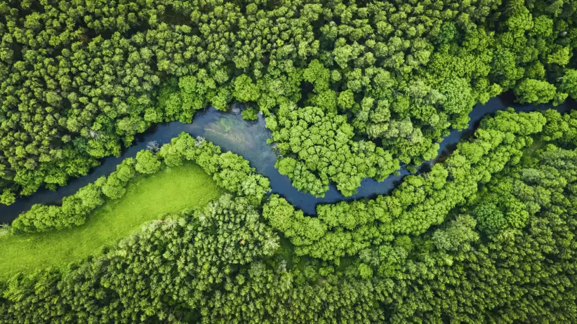 63ee5459a9bc9__822x822