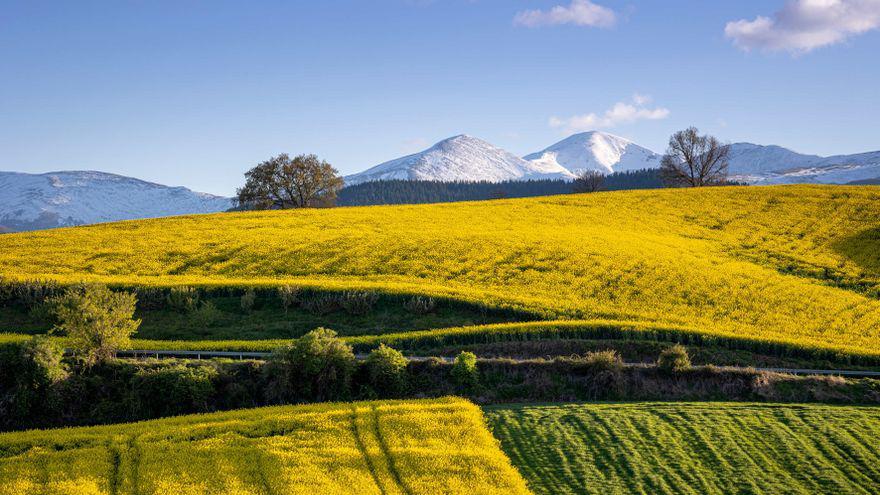 de6290b9-210a-4ce1-8b33-192fb7d01ad1_16-9-aspect-ratio_default_0