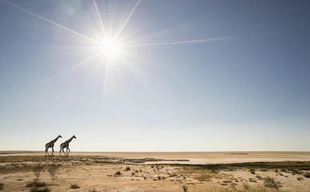 25OAZ45BVBFHNOIR2LANPU6HGI