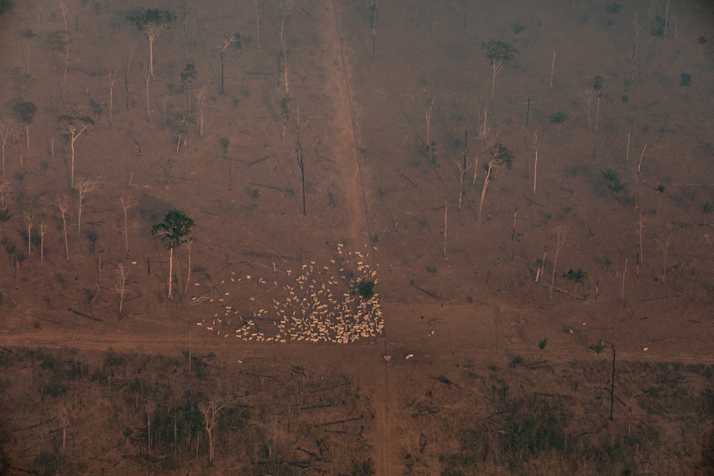 00brazil-smoke--08-jumbo