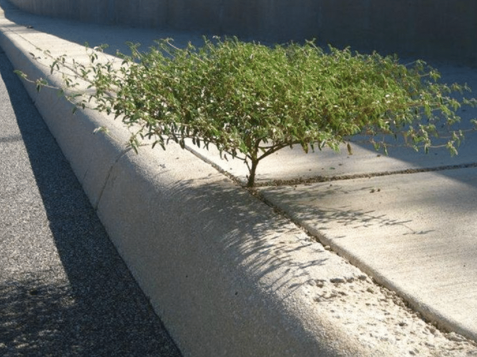 Captura-de-Pantalla-2020-06-26-a-las-13.51.32