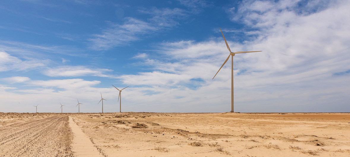 image1170x530cropped (5)