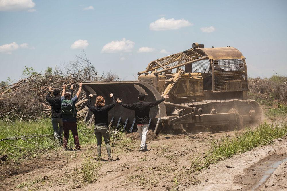 activistas-de-greenpeace-detienen-el-accionar-de-una-topadora