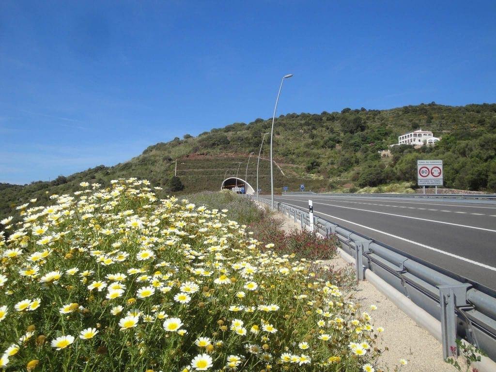 8_mayo_2013-76-1024x768