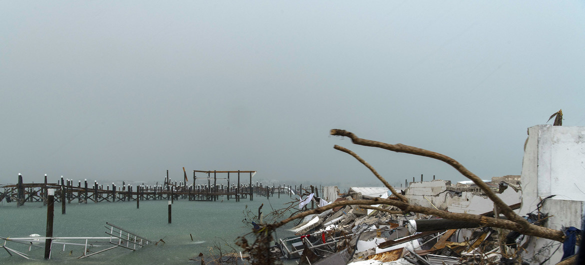 image1170x530cropped (1)