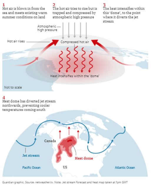 11c77a_5883857bd7c04d648b164c00c2d969df_mv2