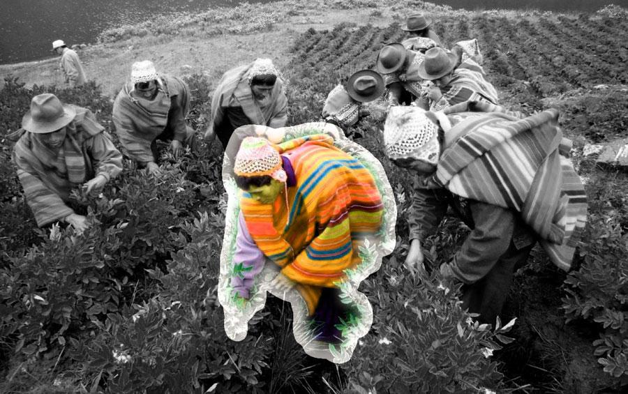 pueblos-indigenas-protegen