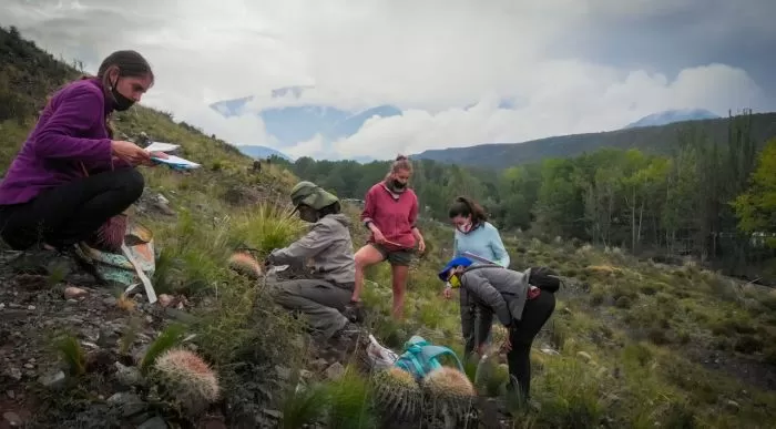 60f34a2ce85bd_700_387!