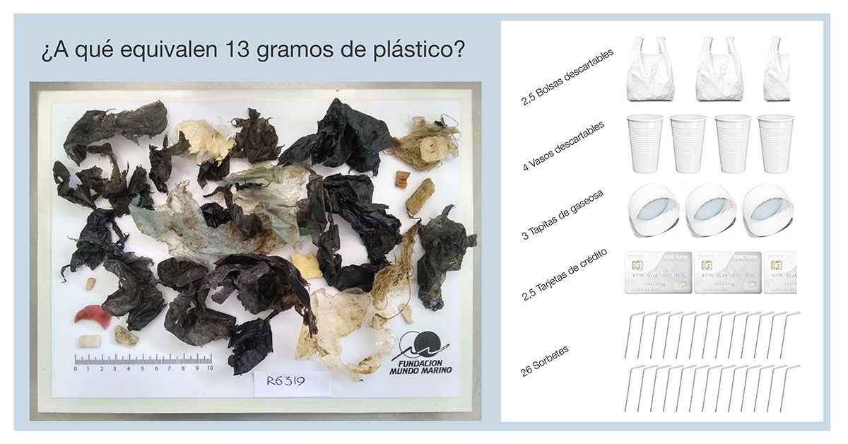 infografia-13grs