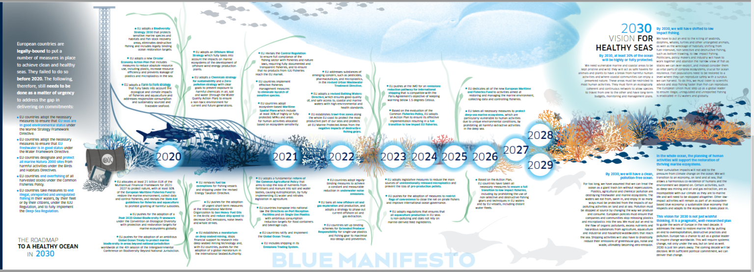 2020.01.27_Blue_Manifesto_-_horizontal_timeline_PrintScreen-1536x554