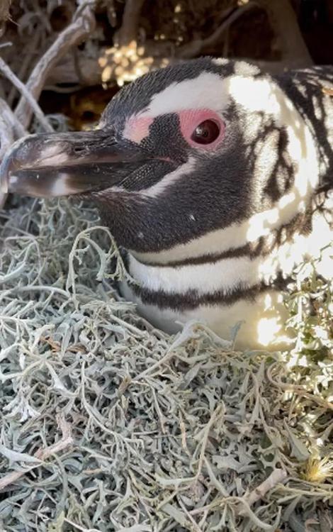 KMG3CZTPOZH3RBJ3DXMM24W3SE