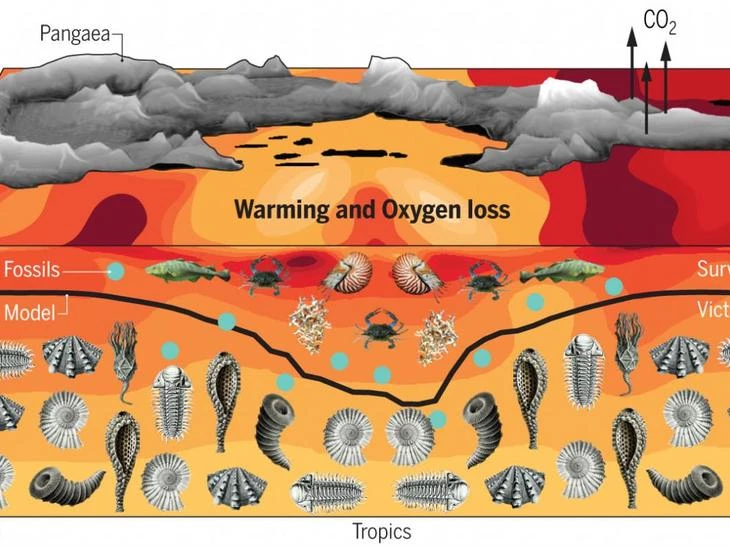 11c77a_819322ae439846948f7b2e55731f964e_mv2