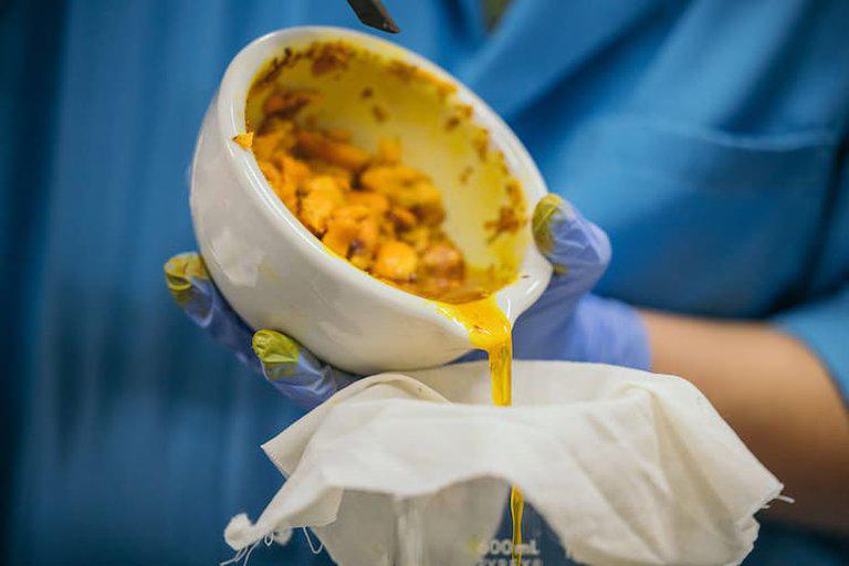 RZBI6XNTCRAUFIP7ITR2RMF47Y