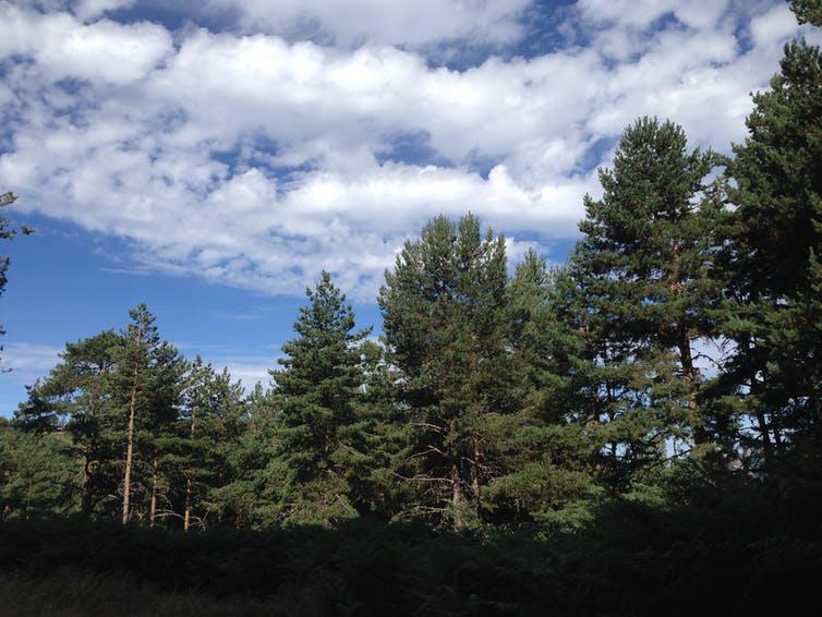 file-20201127-23-34ay1p